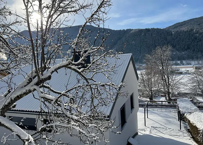 度假居 Haus Sonnleiten *